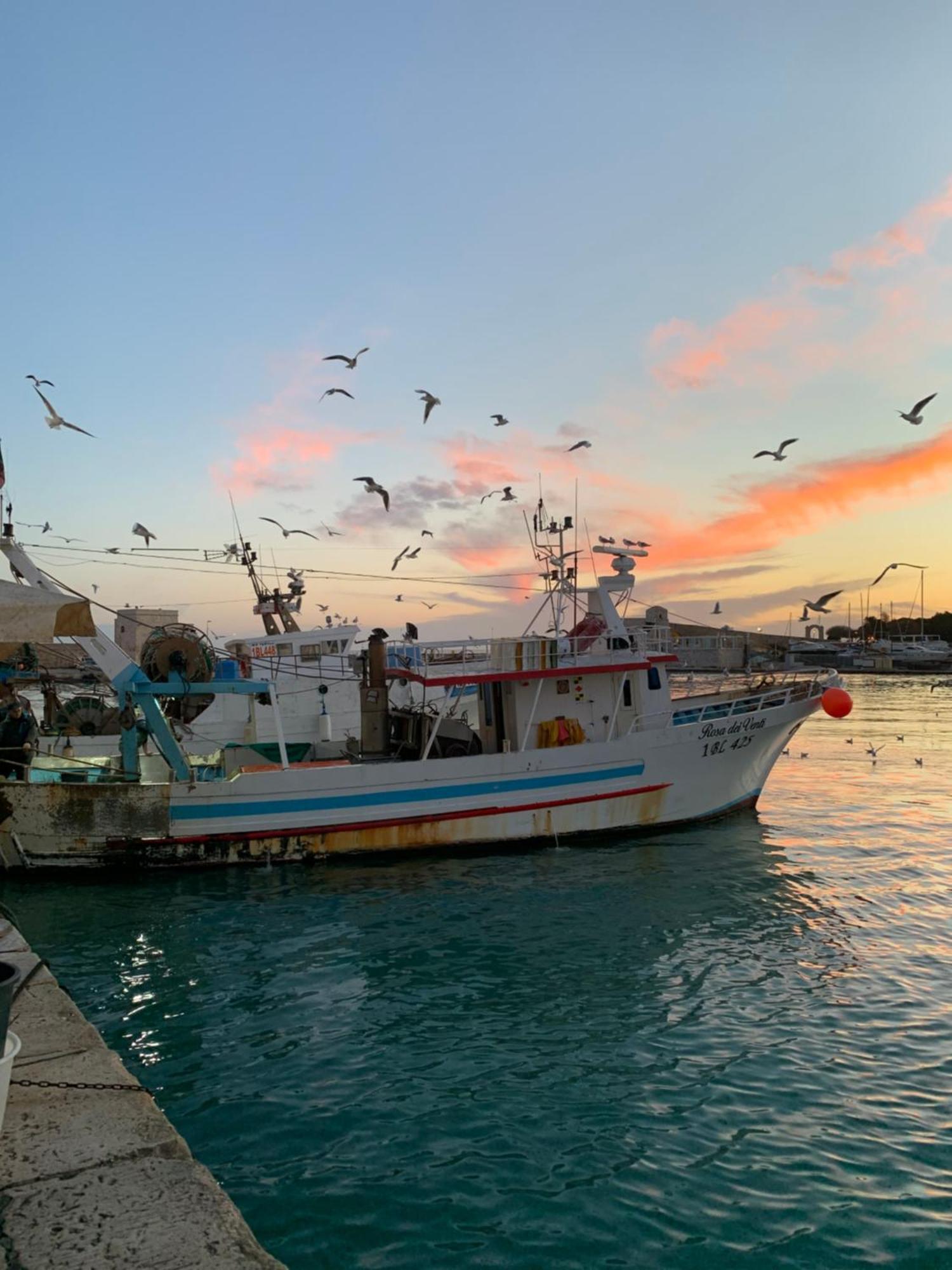 Vischi Apartment Trani By Le Marinelle Loc Turistica Eksteriør bilde